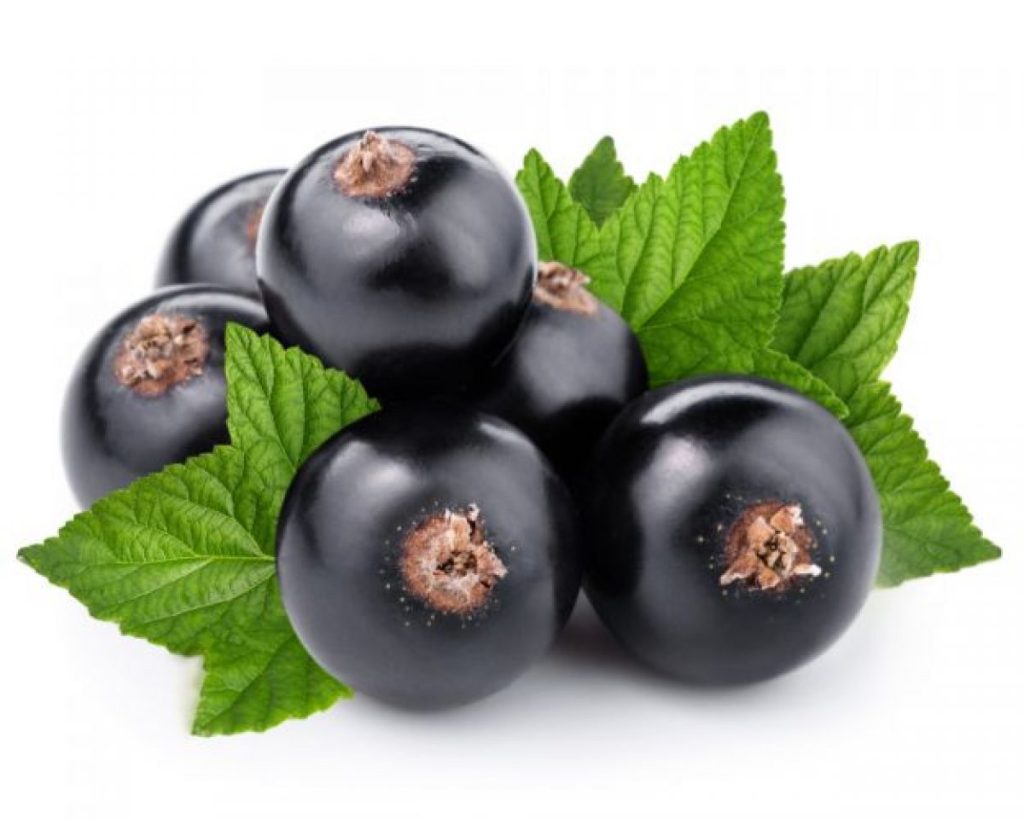 Ribes nero: il miglior alleato dei bambini nella prevenzione contro i malanni di&nbsp;stagione